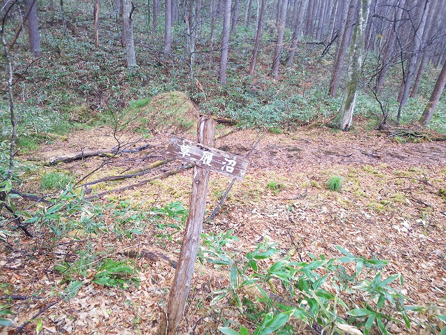 安達太良山　塩沢コース 　草履沼